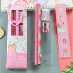 Pensil Set 5in1