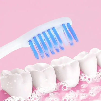 Sikat Gigi Anak Karakter (Isi 4pcs) Standing Kids Toothbrush Colorful Soft Sikat Gigi Travel Bulu Halus dan Lembut Motif Beruang Unik Lucu Baby Tooth Brush Anti Bacterial Anti Jamur Bisa Berdiri Nempel Dinding Meja Kaca Suction