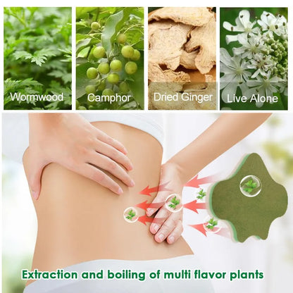 Koyo Herbal Pain Relief Isi 10 Pads Sakit Pinggang Tulang Belakang / Stiker Plaster Detox Tempelan Pereda Pegal Linu Penghilang Nyeri Sendi Otot Punggung Bahu Leher / Obat Penghangat Sendi Hiperplasia