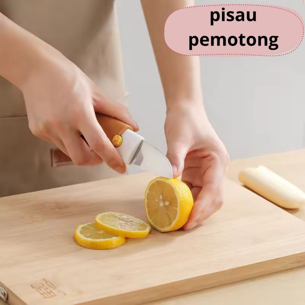 Set Pisau Pengupas Buah 2in1 / Peeler Knife Portable / Alat Kupas Pemotong Kulit Kentang Multifungsi