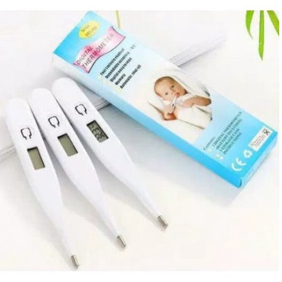 Thermometer Digital